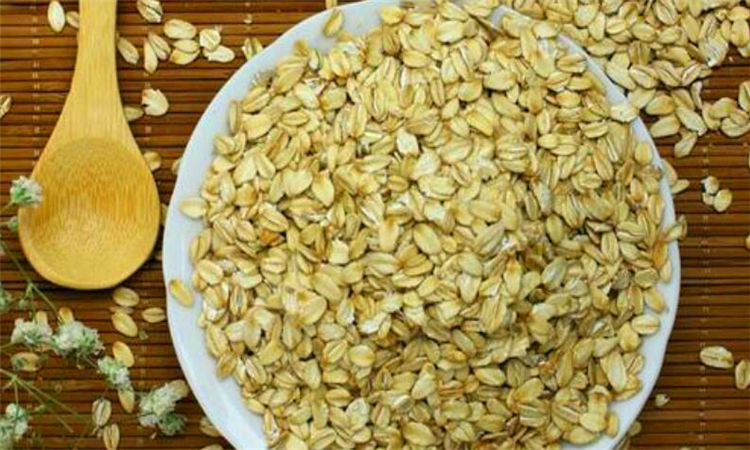 不吃肉用什么代替营养