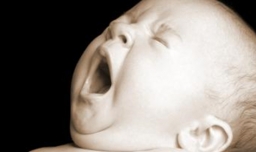 简短霸气的晒娃句子有哪些？