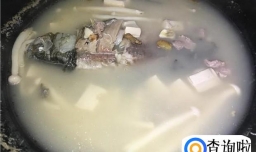 鲫鱼汤的家常做法