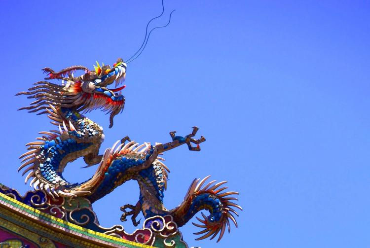 九宫八卦一阵中是什么动物