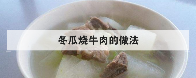 冬瓜烧牛肉的做法