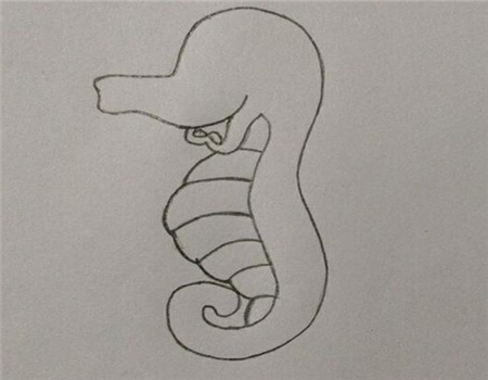 海洋生物简笔画