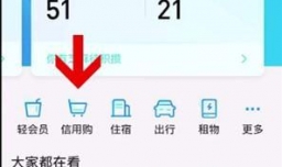 支付宝如何才能用信用购
