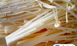 金针菇培根卷怎么做