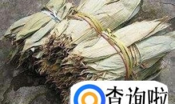 广西粽子的做法