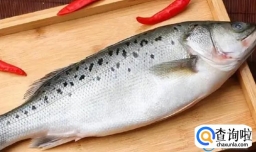 鲈鱼的功效和作用