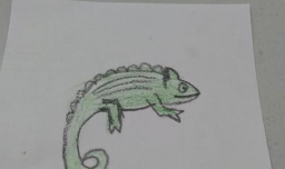 简笔画变色龙是怎么画的