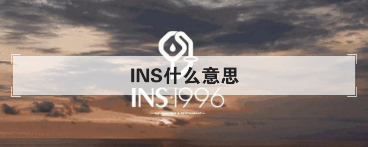 INS什么意思