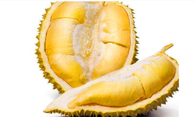 如何选榴莲皮薄肉多