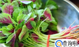 它被称为减肥菜，钙含量是菠菜的3倍，这个时节不吃，等到下一年