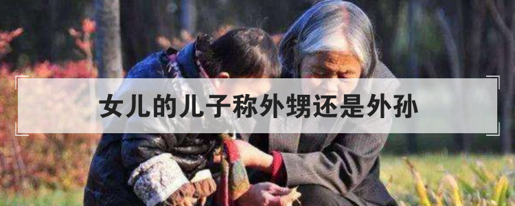 女儿的儿子称外甥还是外孙