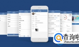 621133很准手机（621133手机版查询平台）