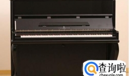 怎样才能选购到一台优质的钢琴？