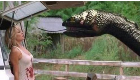 世界上最大的蛇