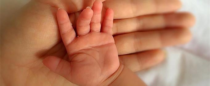 断掌是什么意思