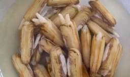 蛏子怎么清洗干净呢