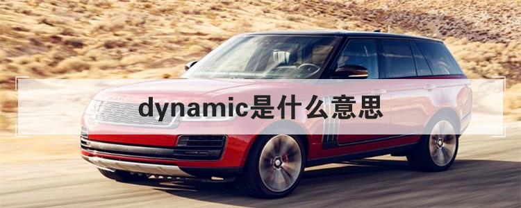 dynamic是什么意思