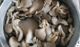 炒蘑菇需要焯水吗