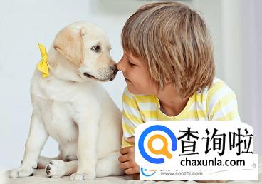 马姓男孩起名字大全