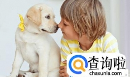 马姓男孩起名字大全