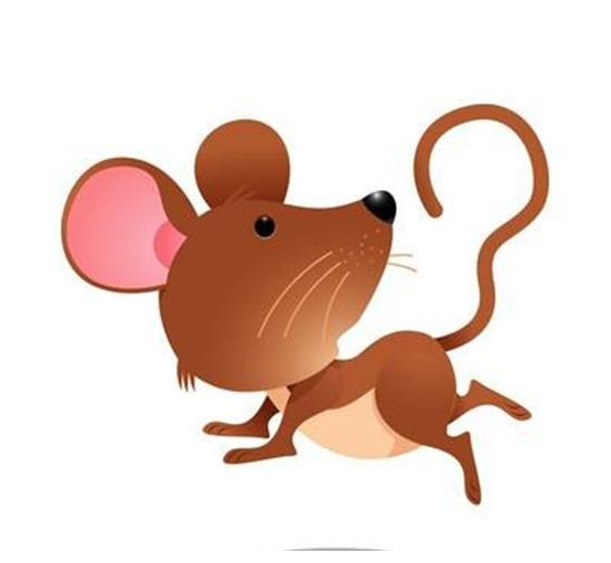 84年属什么生肖