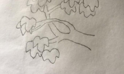 简单大树的手绘画法