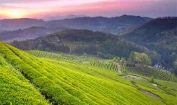 三衢道中描写的是什么季节