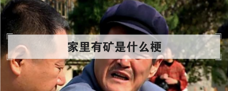 家里有矿是什么梗