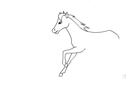 马的简笔画