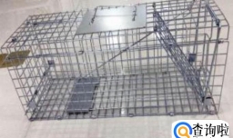 令善教你用捕蛇粉药,诱蛇药粉，捕蛇笼网诱捕蛇