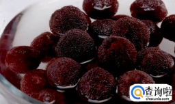 如何制作杨梅汁？