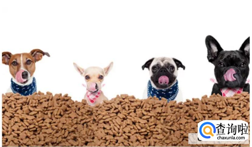 宠物用品行业现在发展的怎么样