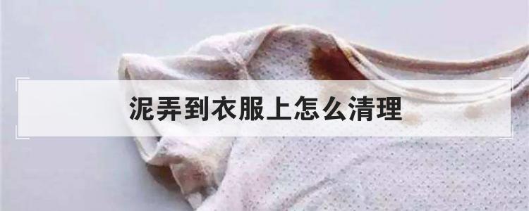 泥弄到衣服上怎么清理