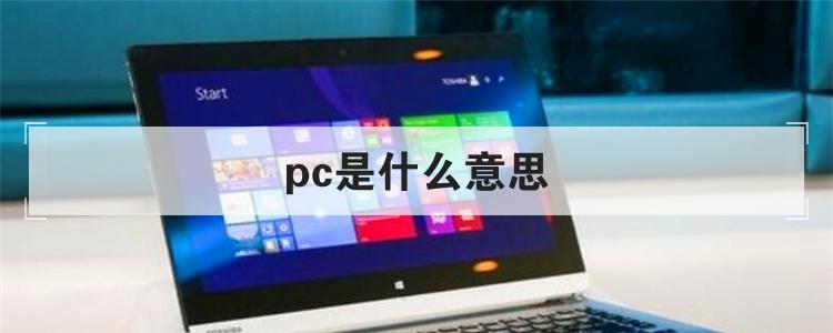 pc是什么意思