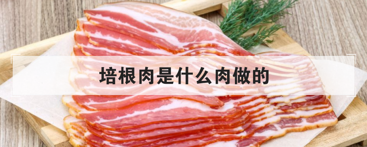 培根肉是什么肉做的