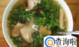 清香美味的千里香滚瘦肉汤的做法