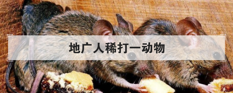 地广人稀打一动物