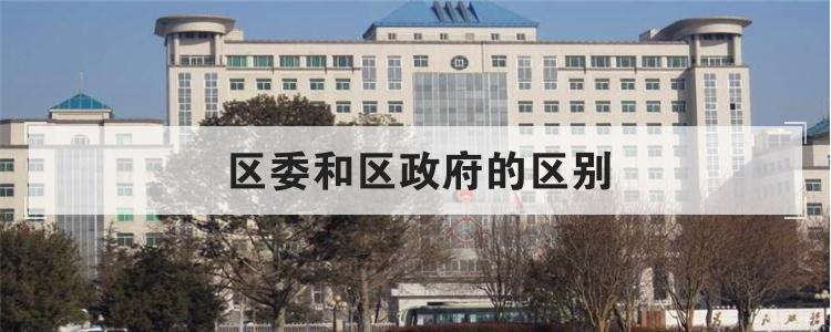 区委和区政府的区别