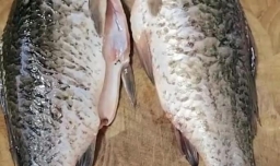 怎样做味道鲜美的鲫鱼豆腐汤