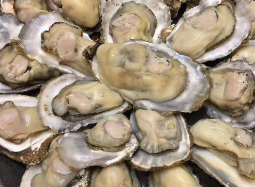 吃生蚝要注意什么