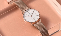 dw是什么牌子？