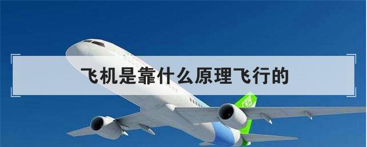 飞机是靠什么原理飞行的