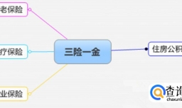 五险一金和三险一金的缴费比例,五险一金如何办理