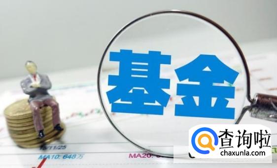 基金亏了死守会回本吗