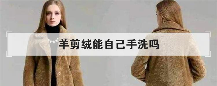 羊剪绒能自己手洗吗