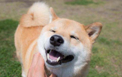 最简单的祝福语一句话