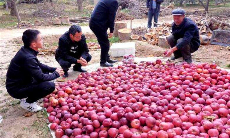 滞销是什么意思