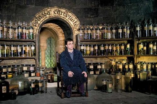 凤凰社是什么组织