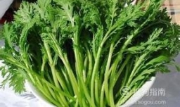 怎样炒藤蒿健康又好吃？