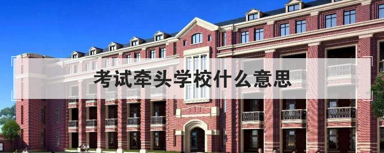 考试牵头学校什么意思